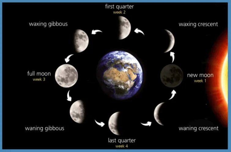 Full Moon Quarter. What is New Moon. Full Moon Stages. Last Quarter Moon what. Аудиокнига новолуние