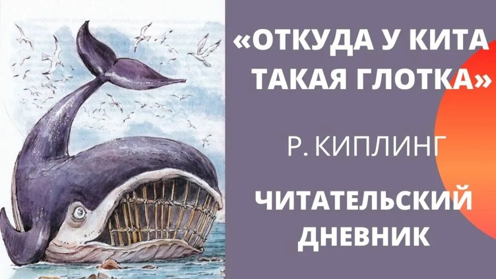 Киплинг откуда у кита. Киплинг откуда у кита такая глотка. откуда у кита такая глотка иллюстрации к сказке. киплинг откуда у кита такая глотка читать. сказка откуда у кита такая глотка.