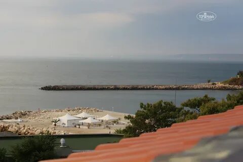 Hotel dolphin 4
