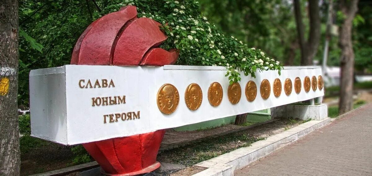Ростовские пионеры герои. Герои в книгах о детях героях. 6 пионеров героев советского союза. Парк вити черевичкина пионеры. Саша чебанов ростов.
