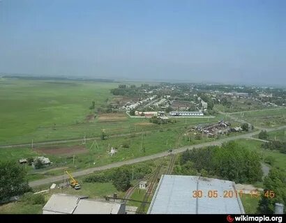 Погода амурская область село березовка