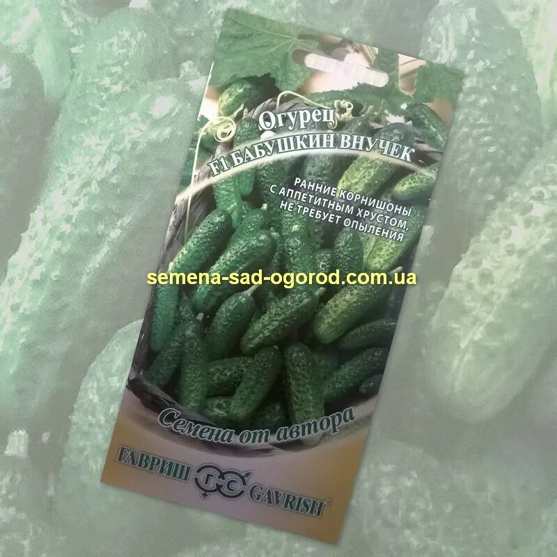 Гавриш огурец журавленок f1. Дом семян огурцы. Огурец журавленок f1. Огурец f1 салтан. Огурцы сорт вязниковский.