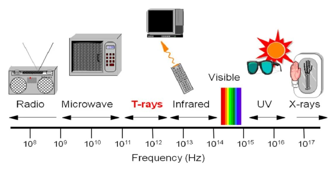 Радио жара частота. Длина волны терагерцового излучения. Излучение СВЧ печей длина волны. Терагерцовый диапазон частот. Терагерцевое  излучение  электромагнитный спектр.