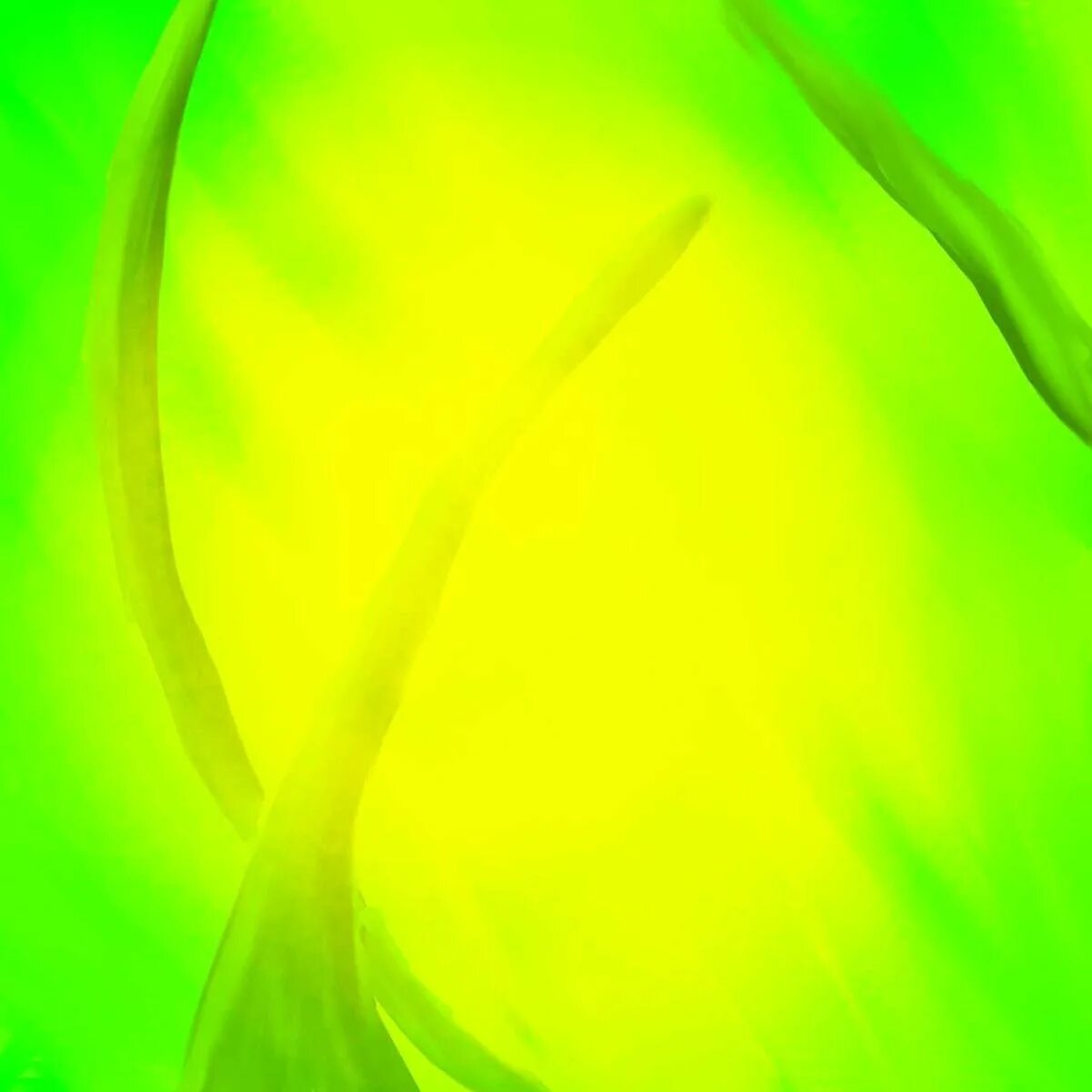 Палитра желтый зеленый. Желтовато зеленый цвет. Желто-зеленый цвет. Желтовато зеленый цвет. Желто-зеленый цвет.