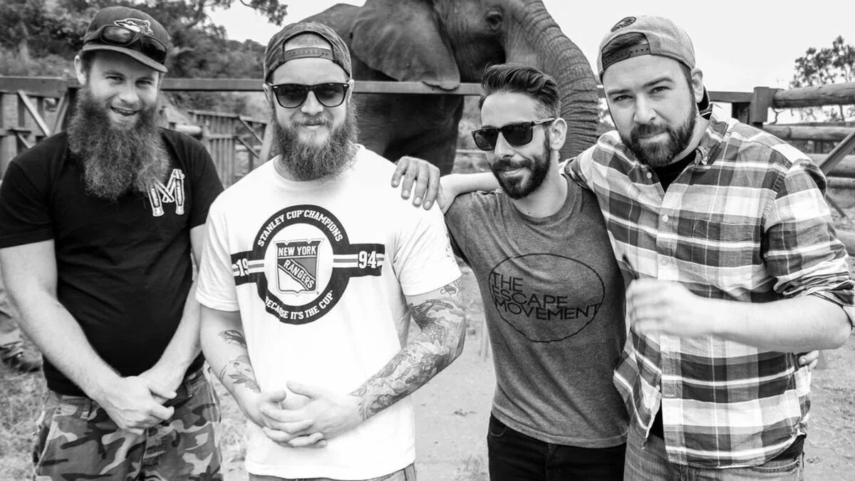 Protest the hero album cover. Protest the hero обложки. Группа annisokay. Группа lowlife. Protest the hero обложки.