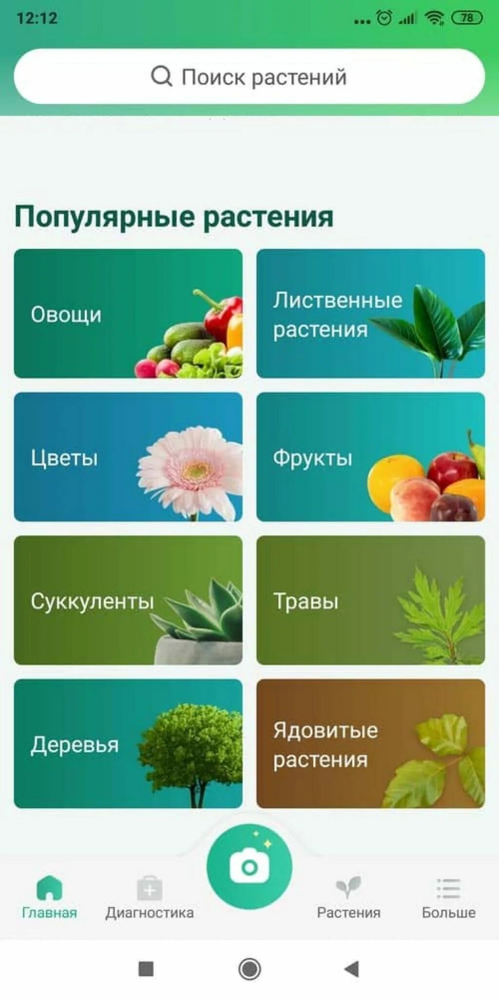 Программа распознать цветок