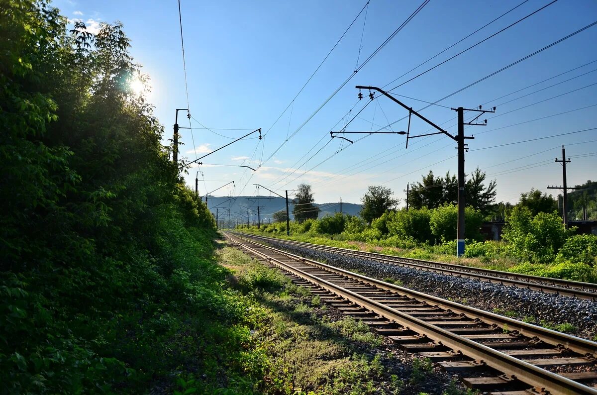 растения балашихинского района. земля участки в железнодорожном. селижарово соблаго жд. жд станция ашукино. унеча хутор михайловский жд линия.