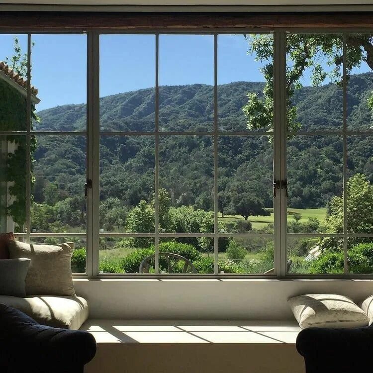 Windows view