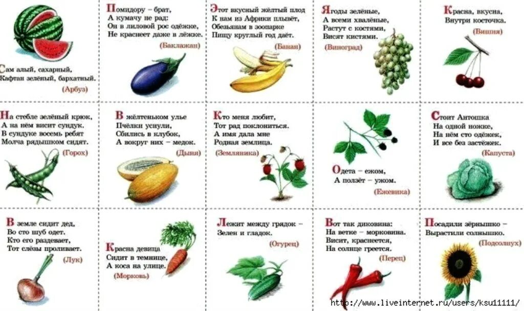 Загадки про овощи для детей 5 лет