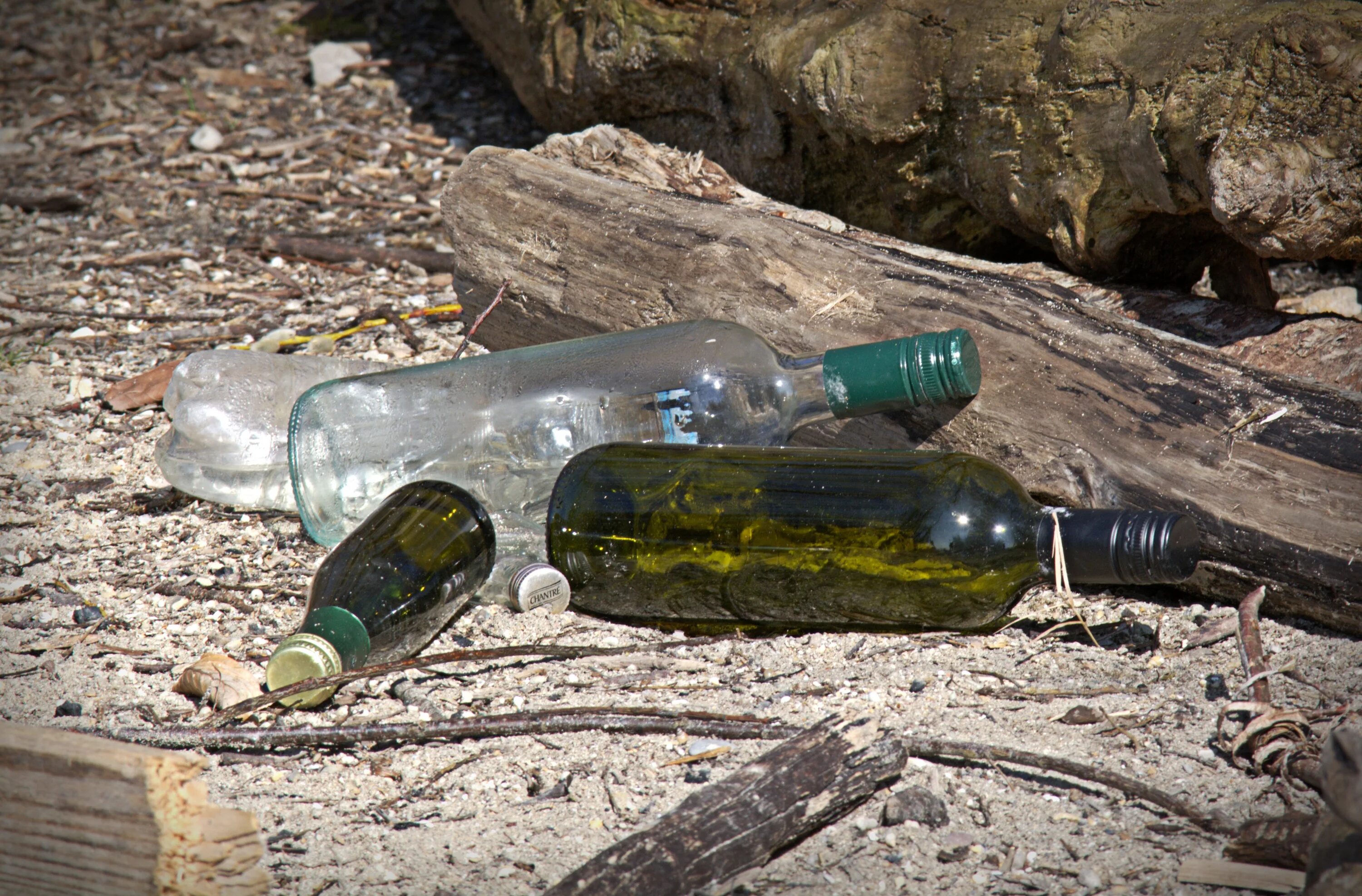 Стеклянная бутылка в мусорке. Бутылка на природе. Стеклянная бутылка в лесу. Кидающий стекло