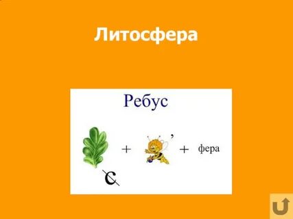 Экологические ребусы