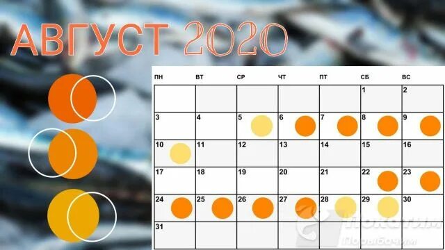 Клев в августе 2025 года. Благоприятные дни для рыбалки в августе. благоприятные дни для рыбалки. лунный календарь рыбака на сентябрь. лучшие дни для рыбалки в августе.