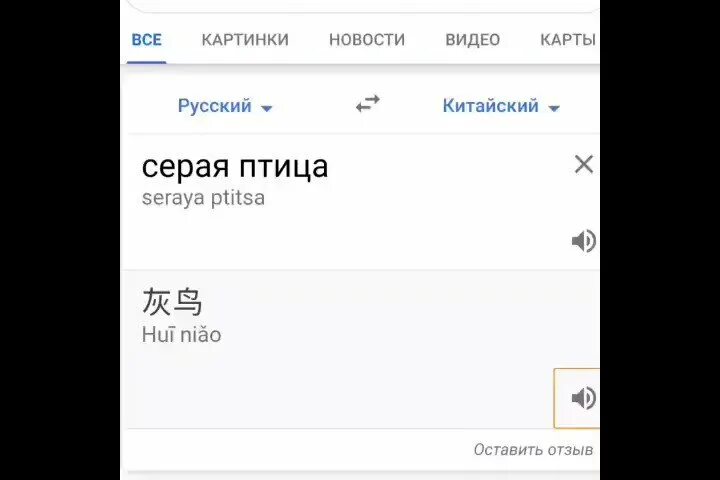 Как переводится птичка на китайском. Как переводится серая птица на китайском. Серая птичка по китайски произношение. Серая птичка по китайски. Серая птица по-китайски произношение по китайски.