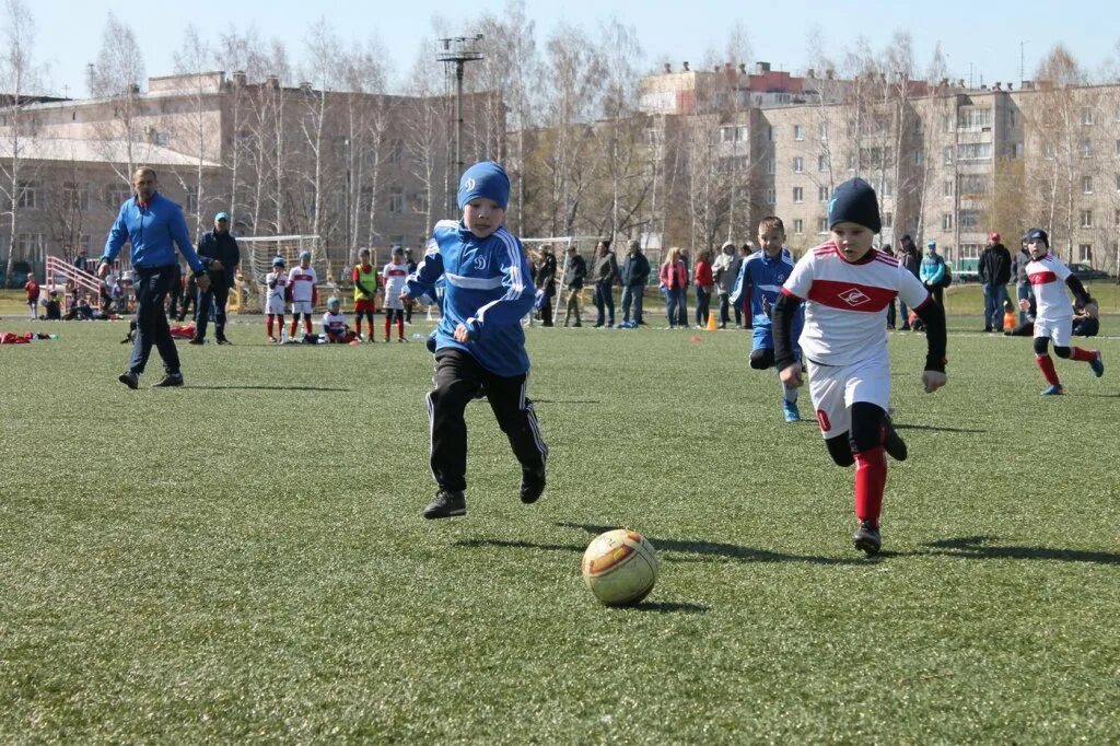 Горные спортивная школа. Спортивная школа Горно-Алтайск. Школа ДЮСШ Горно Алтайск. Бердигистях ДЮСШ. Футбол Горно-Алтайск.