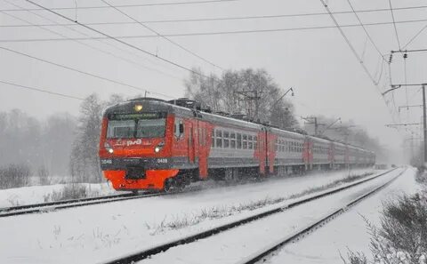 Электричка сергиев посад лось