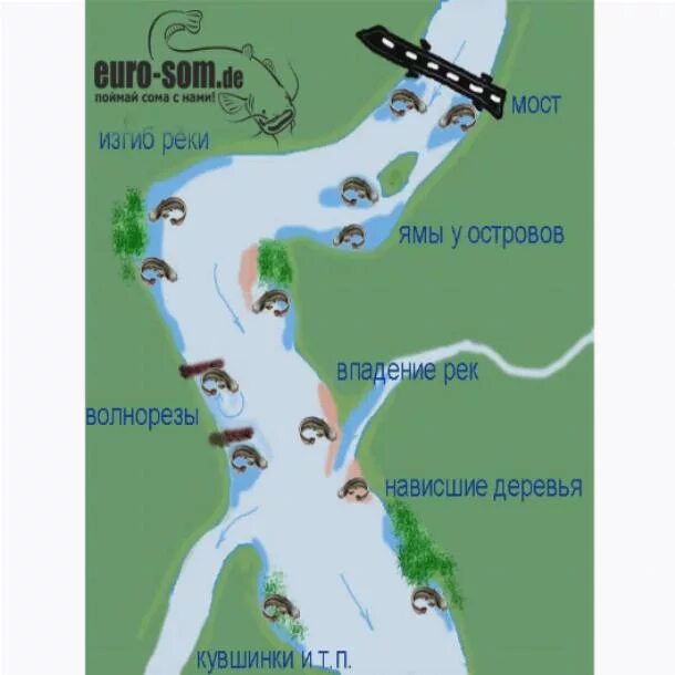 на что ловить сома. ловля сома на донку с берега на реке. русская рыбалка 4 сом. рыбалка на сома. ловля сома на реке.