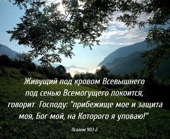 Господь мой и бог мой. Бог любит тебя. Бог защита моя и упование. Моя поддержка моя опора. Бог сила моя.