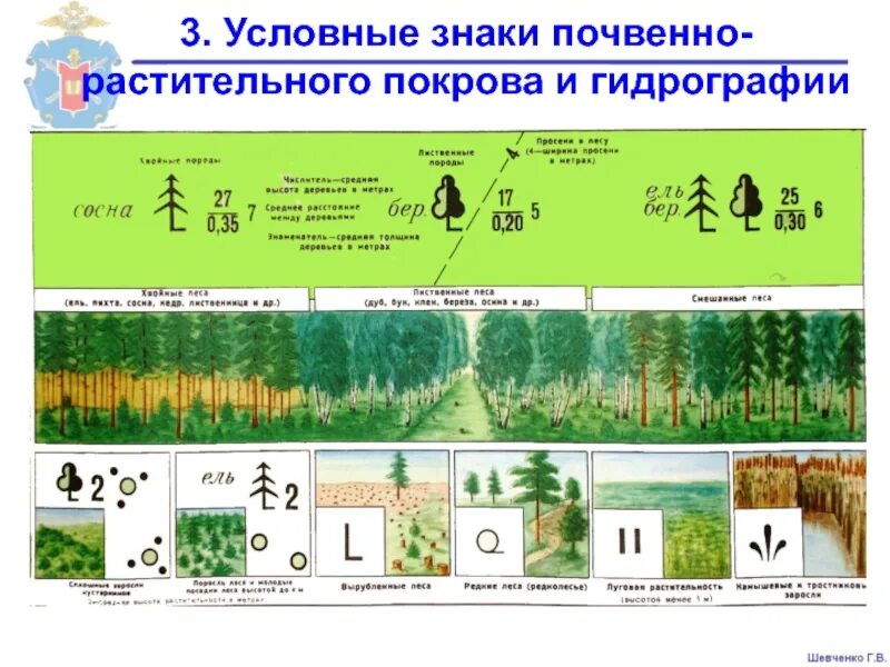 Условные знаки деревьев. Характеристика леса на топографической карте. Растительный Покров условные знаки. Условные знаки почвенно-растительного Покрова. Почвенно-растительный Покров условные.