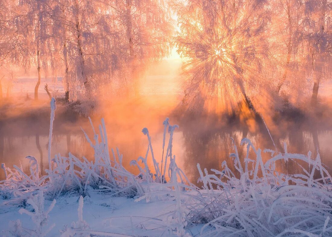 Фф и в морозном лесу навеки останусь. Зимнее утро. Морозное утро. Морозное лето. Морозное солнечное утро.