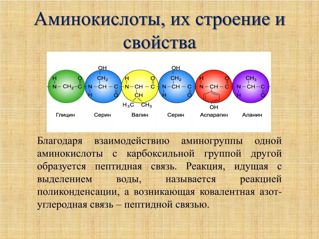 Группа входящие в состав аминокислот. Аминокислоты. Строение аминокислот. Аминокислоты, строение аминокислот.. Строение 20 аминокислот.