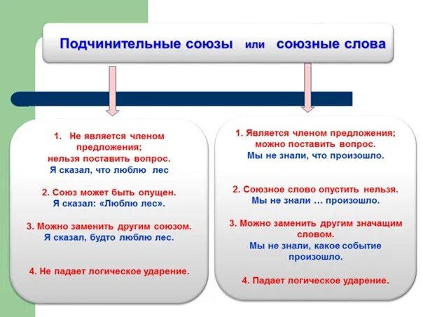 5 подчинительных предложений