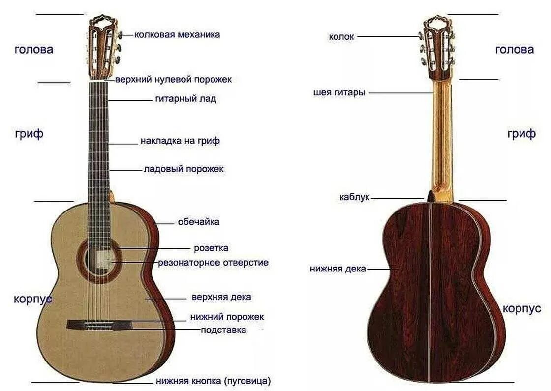 Строение гитары 6-ти струнной электрогитары. Строение гитары акустической 6 струнной струны. Как называются части гитары акустической гитары. Устройство гитары акустической 6 струнной. Звуки 6 струнной гитары