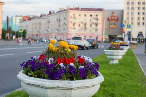 Мурманск круглосуточно