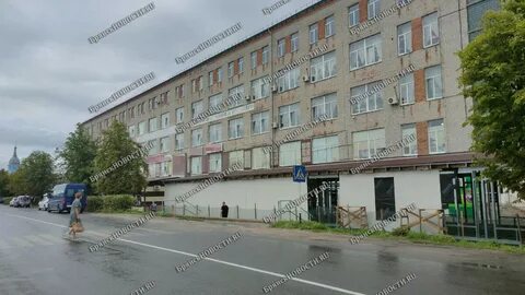 Новозыбков су лайф