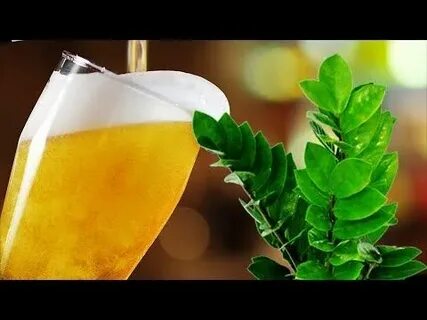 Полить цветы пивом