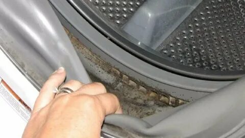 Как очистить резинку в барабане стиральной машины