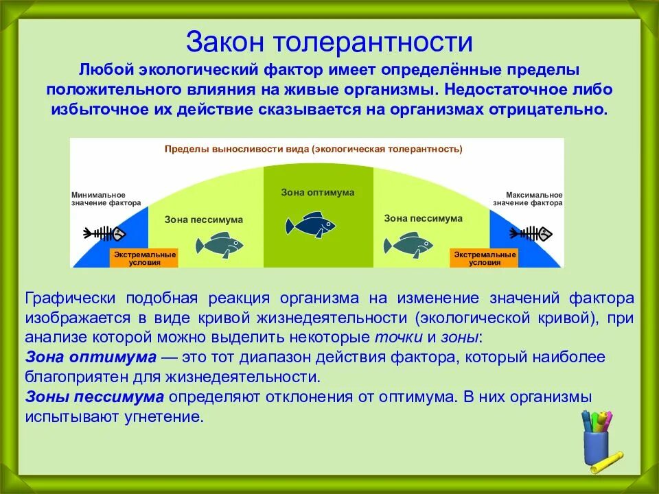 Как называется закон экологии который он иллюстрирует. Закон толерантности в экологии. Экологическая толерантность организма это. Экологический фактор толерантность. Экологические факторы и закон толерантности.