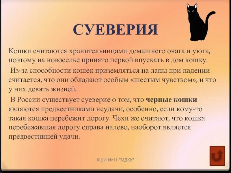 Способности кошек. Навыки кошек. Сверхспособности кошек. Уникальные способности кошек. Кошки способны