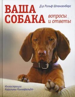 Щенок вопросы