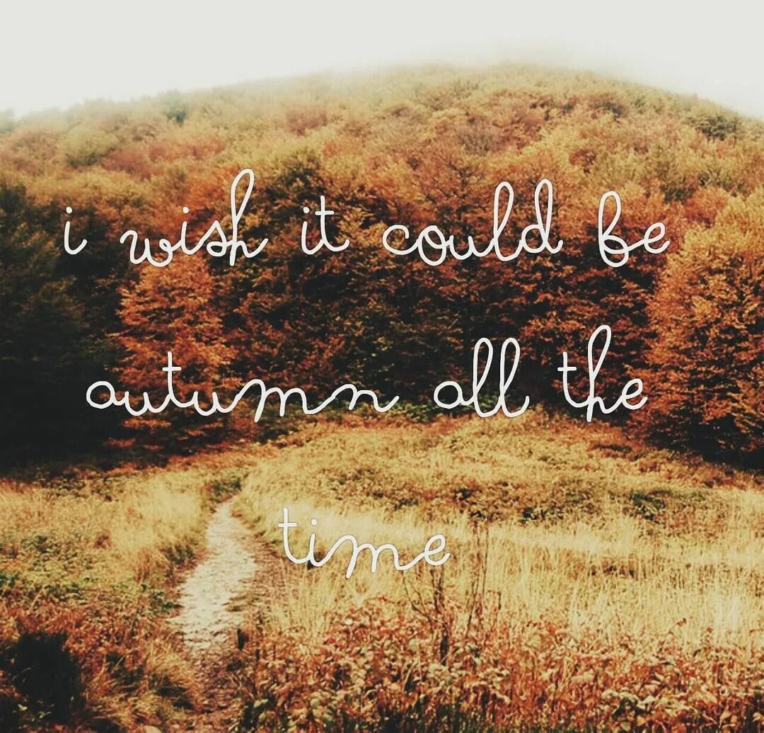 Autumn be like. Лайков осень. like time осень. i like autumn very much. in autumn the days. autumn (australia) - don&#039;t watch me.
