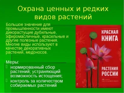 Редкие виды работ