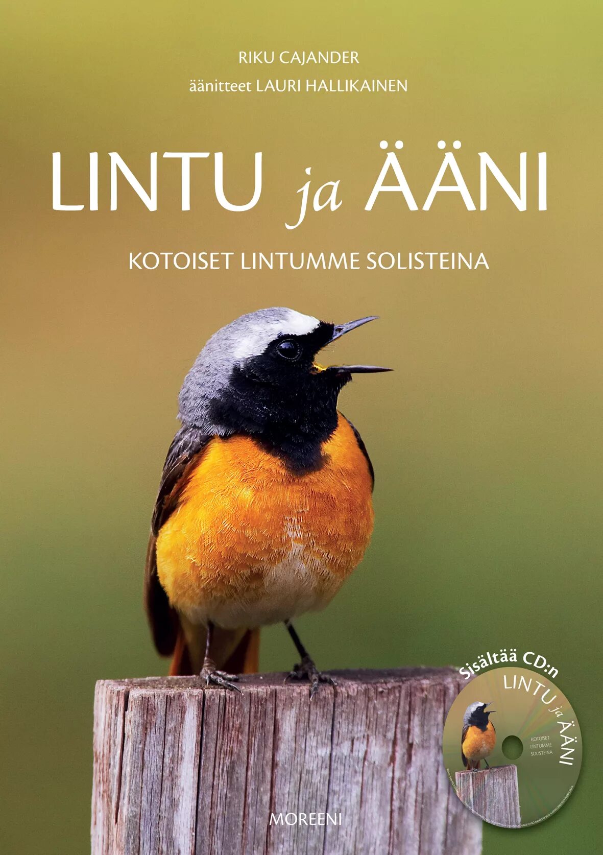 Lintu. Lintu original ceramic. линту.