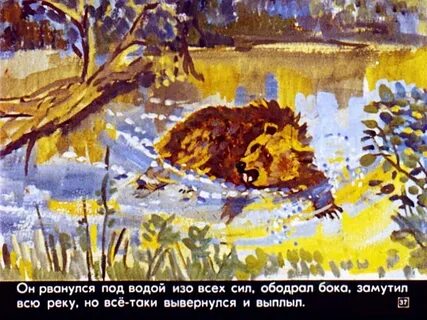 Дремучий медведь картинки