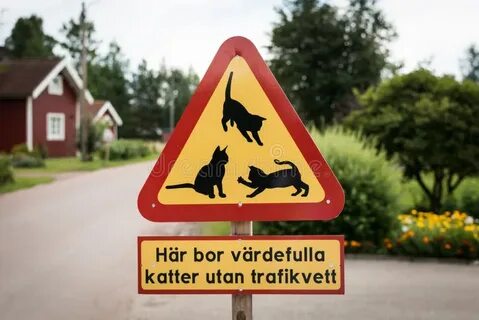 Warning main