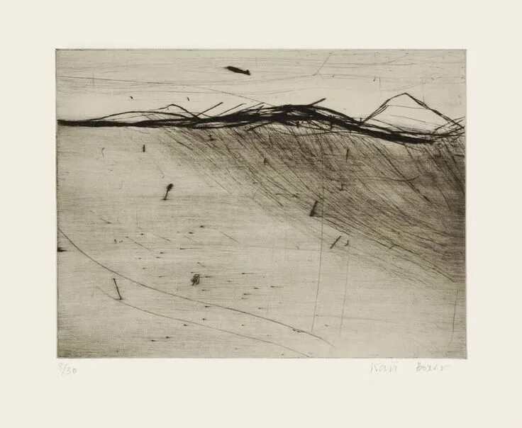 Графика сухая игла. Сухая игла техника рисования. Сухая игла гравюра. Офорт техника сухой иглы. Офорт сухая игла.