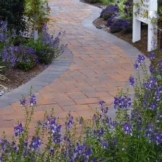 Path 15