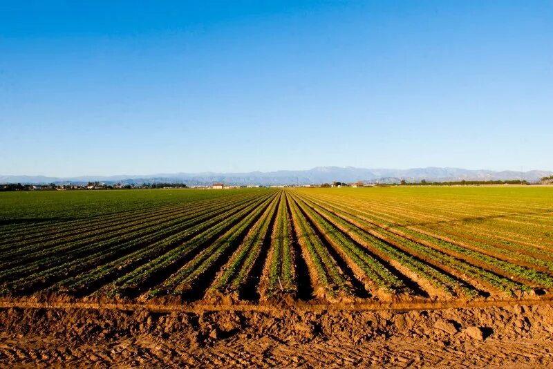 Сельскохозяйственные угодья. Пахотные поля белоруссия. Пахотное поле россии. Сельхозземли башкортостан поля. Земли сельскохозяйственного назначения герат.