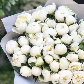 Белых пионов 40 процентов розовых 58