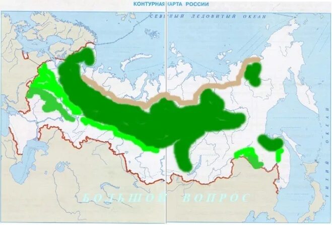 Тайга на карте России. Географическое положение тайги в России на карте. Территория тайги на карте России. Тайга расположение на карте России.