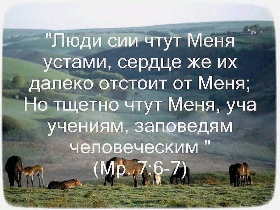 Большинство людей до сих. Люди сии чтут меня устами, сердце же их далеко отстоит от меня. Устами своими чтут меня а сердцами далеко. Приближаются ко мне люди сии устами своими и чтут. Приближаются ко мне люди.