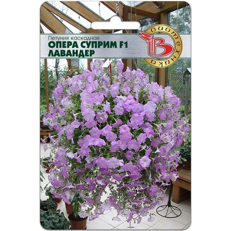 Петуния опера парпл вейн. Петуния опера суприм роз. Петуния опера суприм f1 лавандер (биотехника). Опера суприм описание. Петуния каскадная пандора f1 парпл.