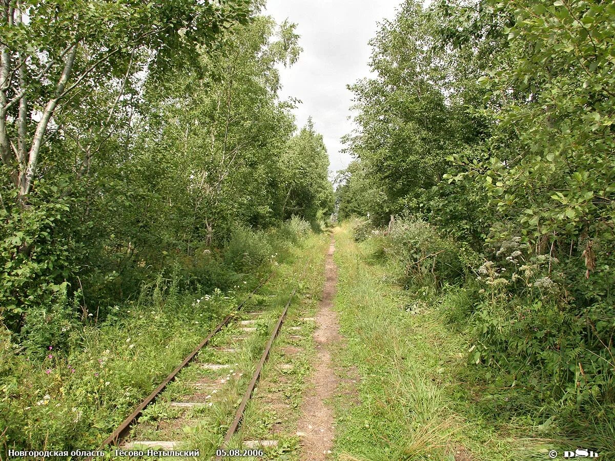 Тесово новгородская область. Тёсово-Нетыльский. Рогавка Новгородская область. Тесово Нетыльская Новгородская. Тёсово-Нетыльский Новгородская область Рогавка.