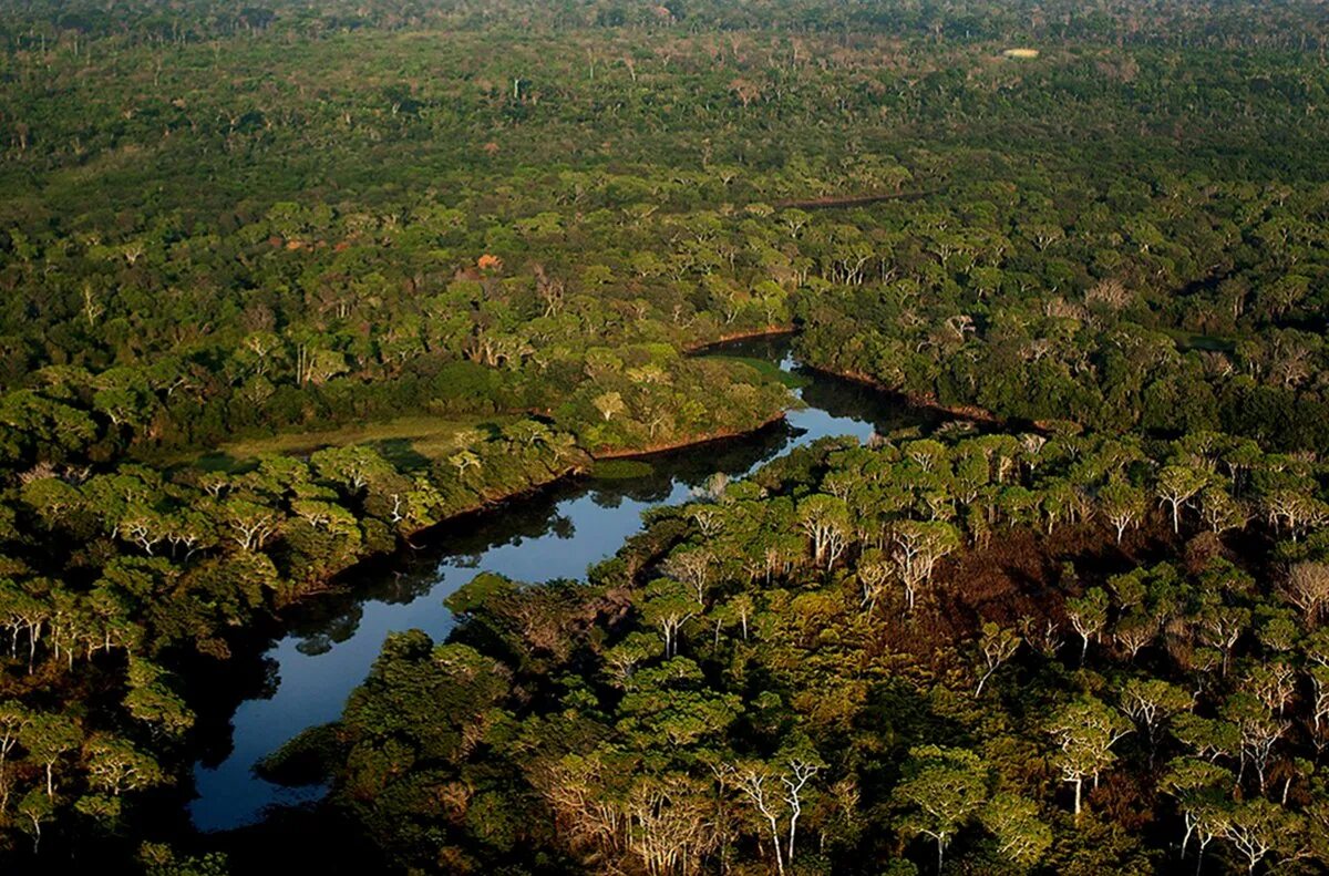 Река амазонка в бразилии. Тропические леса амазонки в бразилии. Южная америка река амазонка. Амазония где. Амазонка и рио негро.