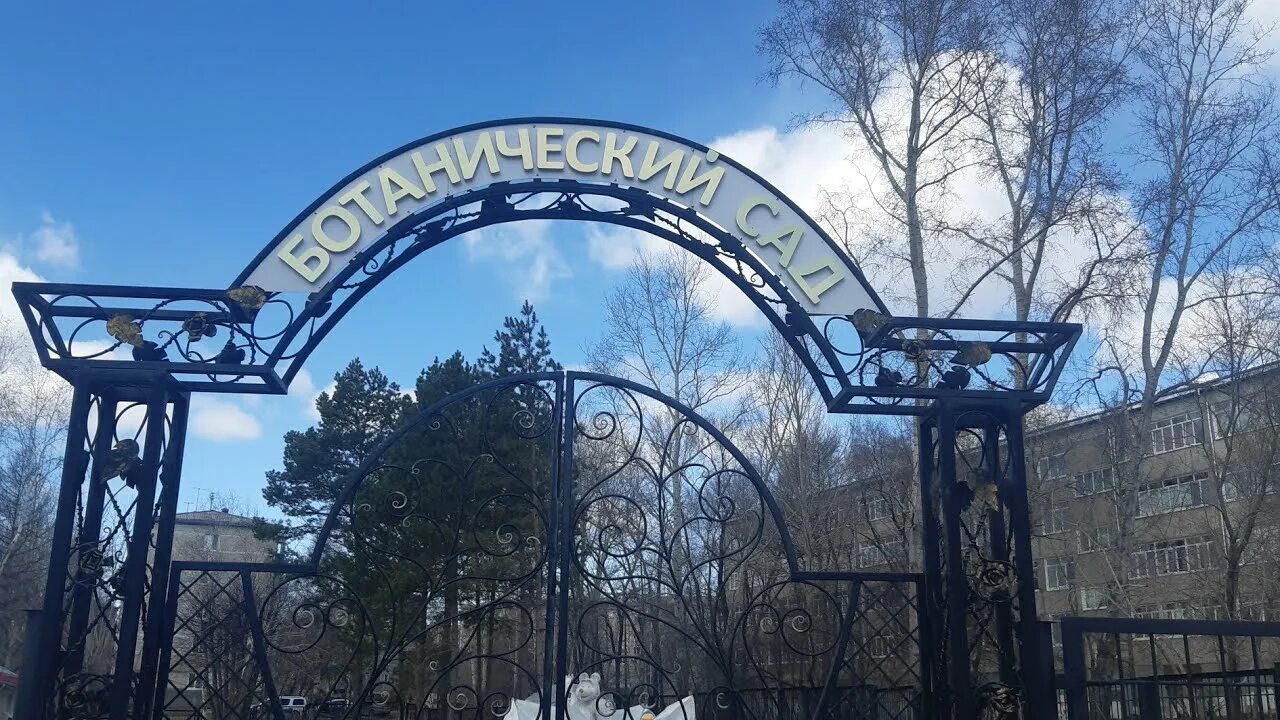 Ботанический сад благовещенск амурская область. Ботанический сад дво ран владивосток. Ботанический сад благовещенск амурская область. Амурский ботанический сад амурск. Амурский дендрарий амурск.