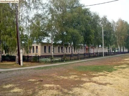 Деревня волчки