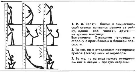 Составить комплекс упражнений для развития гибкости